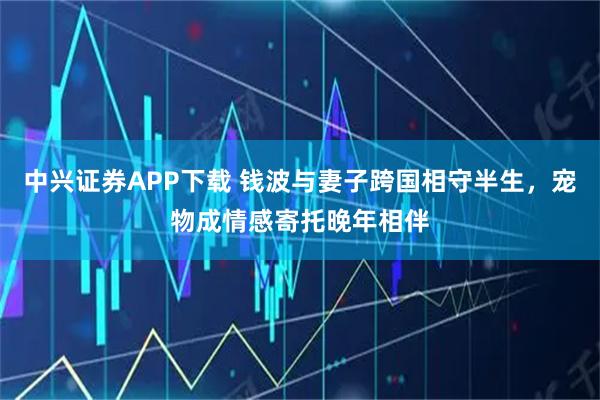 中兴证券APP下载 钱波与妻子跨国相守半生，宠物成情感寄托晚年相伴