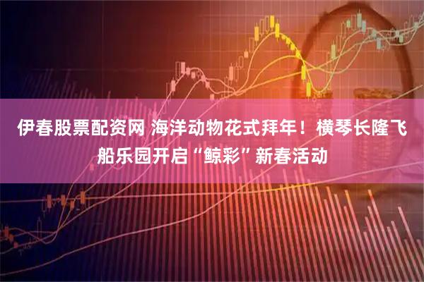 伊春股票配资网 海洋动物花式拜年！横琴长隆飞船乐园开启“鲸彩”新春活动