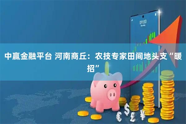 中赢金融平台 河南商丘：农技专家田间地头支“暖招”