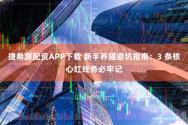 捷希源配资APP下载 新手养猫避坑指南：3 条核心红线务必牢记